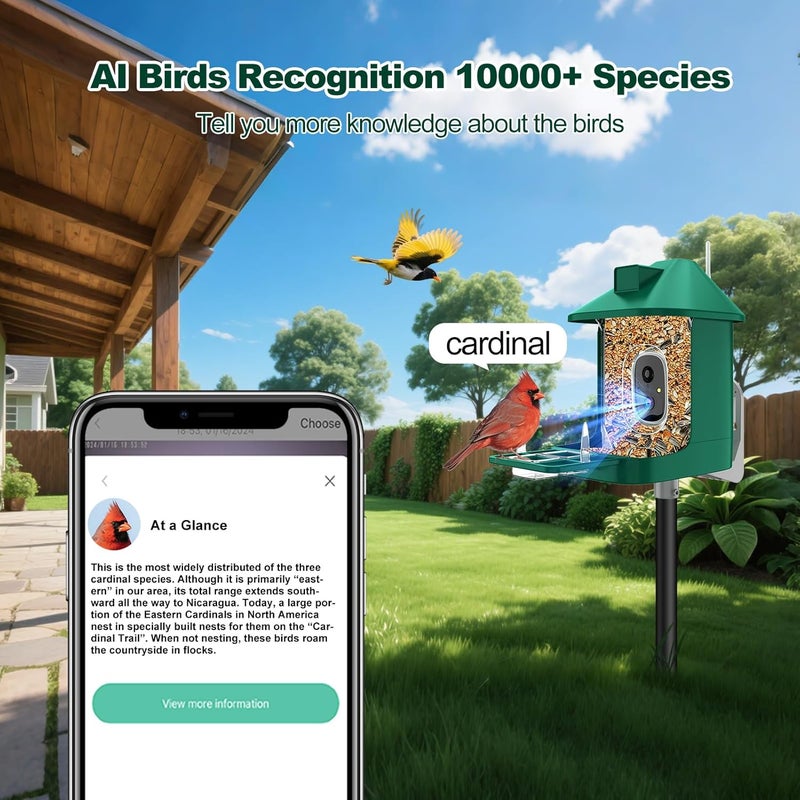 Vatjubi Bird Feeder with Camera,2K Live View,WiFi Smart Bird House with Cam Solar Powered for Outdoor,Night Vision,AI Identify,Auto Record Video,Real-Time App Alerts,Birdwatching Gifts for Family,Birds Lover - Image 2